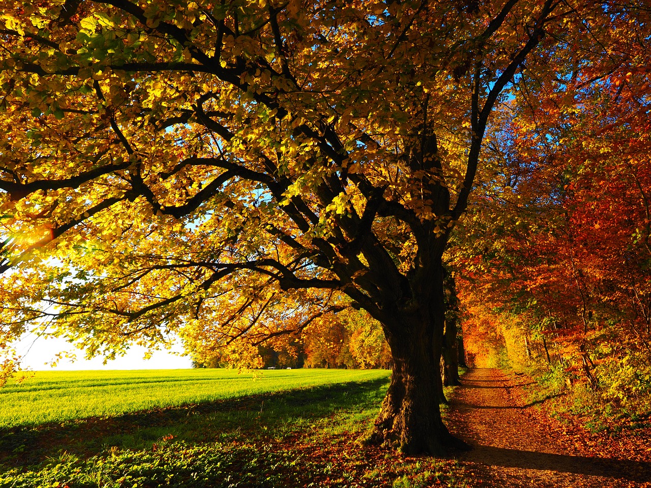 Discover the enchantment of autumn in the Tuscan-Emilian Apennines